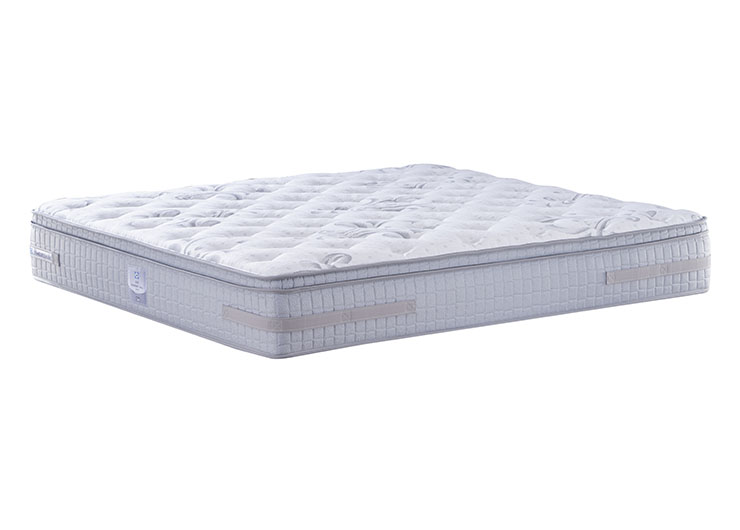 2_0001_ESC_0006 拷贝