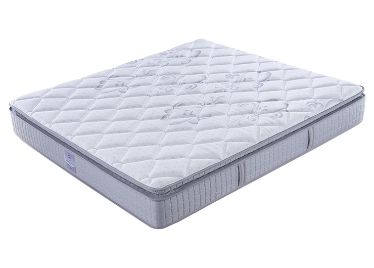 11_0002_ESC_0064 拷贝